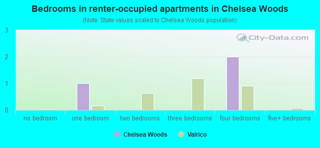 Bedrooms in renter-occupied apartments in Chelsea Woods