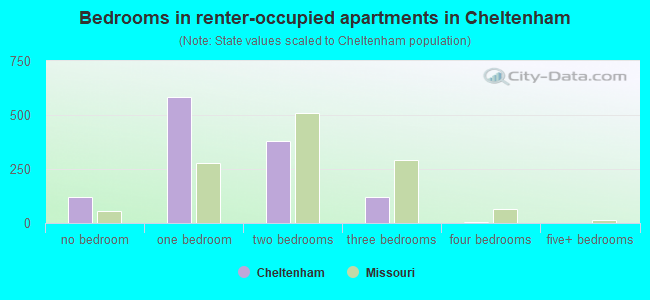 Bedrooms in renter-occupied apartments in Cheltenham