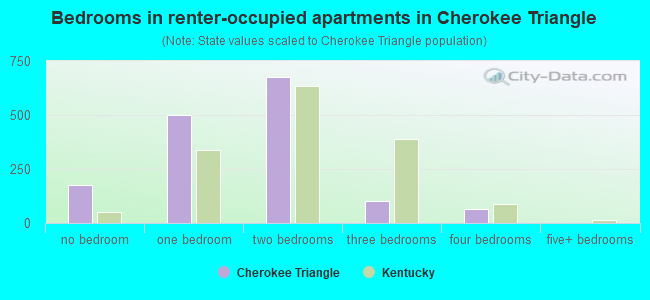 Bedrooms in renter-occupied apartments in Cherokee Triangle