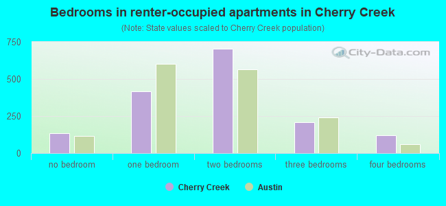 Bedrooms in renter-occupied apartments in Cherry Creek