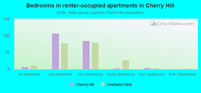 Bedrooms in renter-occupied apartments in Cherry Hill