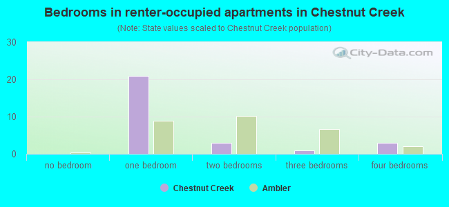 Bedrooms in renter-occupied apartments in Chestnut Creek