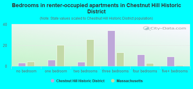 Bedrooms in renter-occupied apartments in Chestnut Hill Historic District