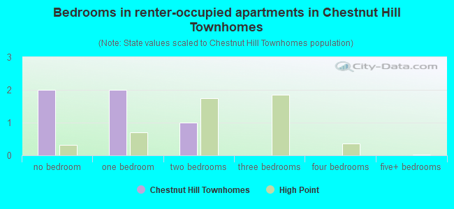 Bedrooms in renter-occupied apartments in Chestnut Hill Townhomes
