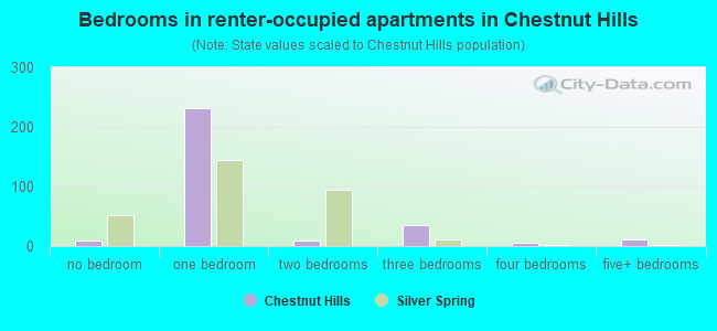 Bedrooms in renter-occupied apartments in Chestnut Hills