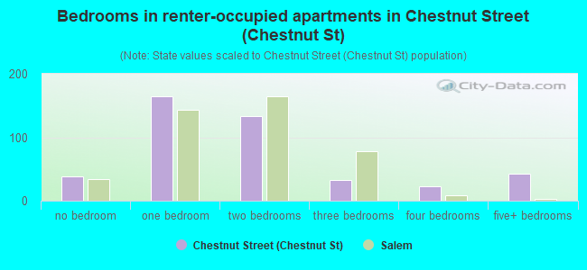 Bedrooms in renter-occupied apartments in Chestnut Street (Chestnut St)