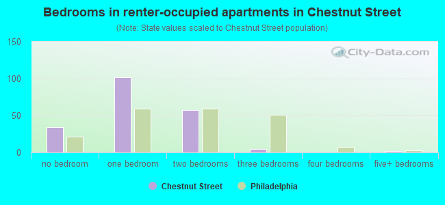 Bedrooms in renter-occupied apartments in Chestnut Street