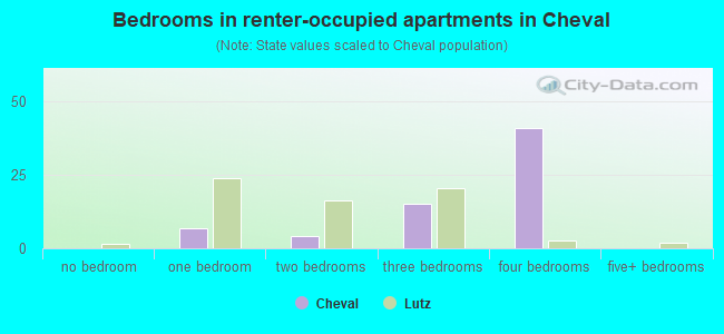 Bedrooms in renter-occupied apartments in Cheval