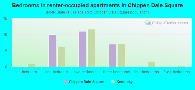 Bedrooms in renter-occupied apartments in Chippen Dale Square