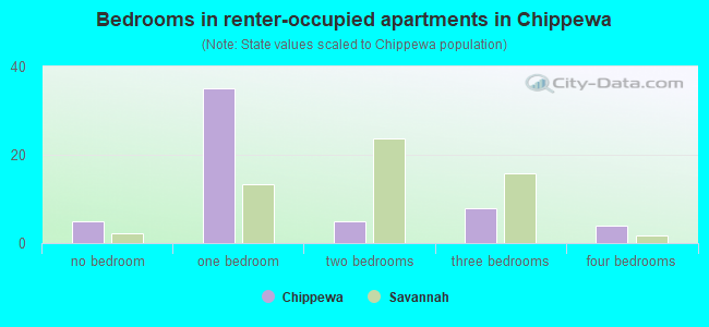 Bedrooms in renter-occupied apartments in Chippewa