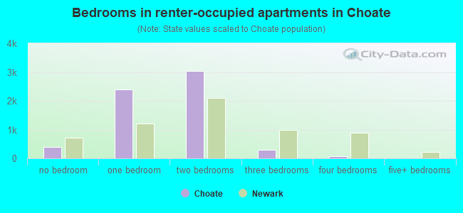 Bedrooms in renter-occupied apartments in Choate