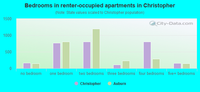 Bedrooms in renter-occupied apartments in Christopher