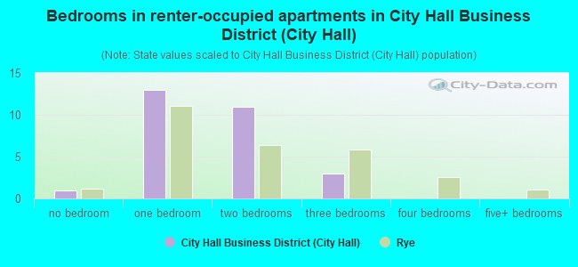 Bedrooms in renter-occupied apartments in City Hall Business District (City Hall)