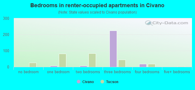 Bedrooms in renter-occupied apartments in Civano