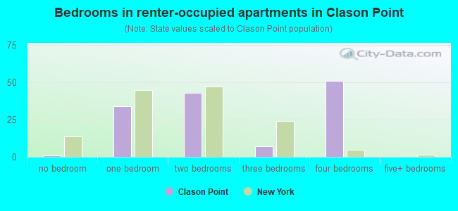 Bedrooms in renter-occupied apartments in Clason Point