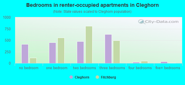 Bedrooms in renter-occupied apartments in Cleghorn