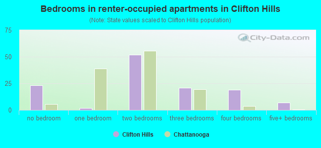 Bedrooms in renter-occupied apartments in Clifton Hills