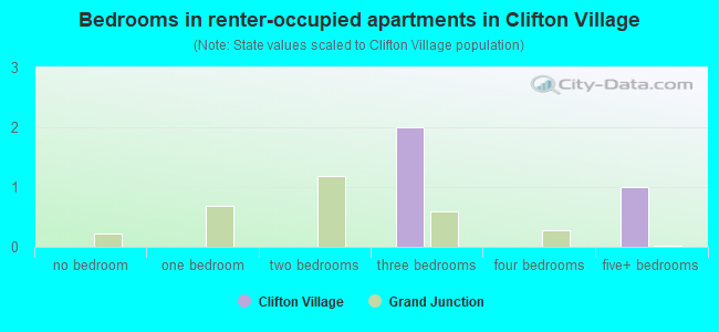 Bedrooms in renter-occupied apartments in Clifton Village