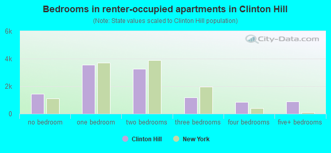 Bedrooms in renter-occupied apartments in Clinton Hill