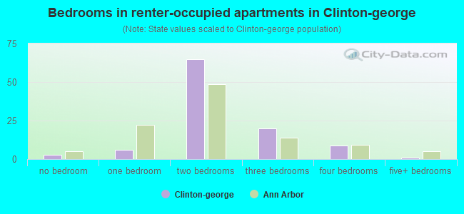 Bedrooms in renter-occupied apartments in Clinton-george