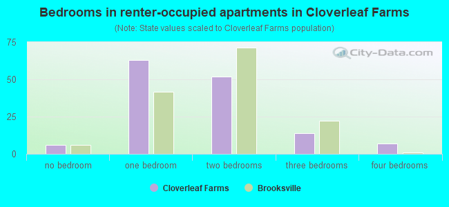 Bedrooms in renter-occupied apartments in Cloverleaf Farms
