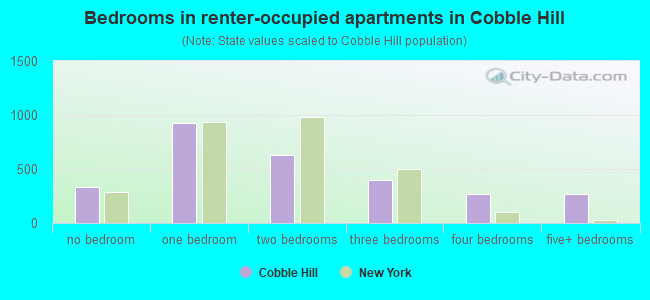 Bedrooms in renter-occupied apartments in Cobble Hill