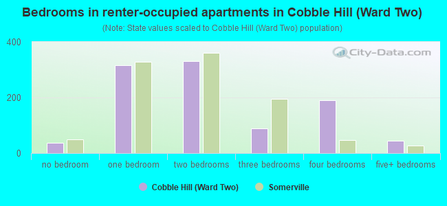 Bedrooms in renter-occupied apartments in Cobble Hill (Ward Two)