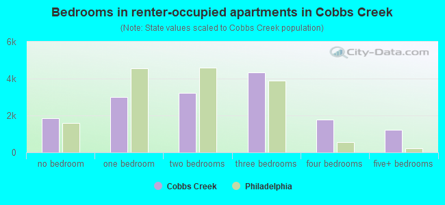 Bedrooms in renter-occupied apartments in Cobbs Creek