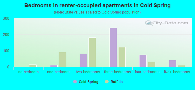 Bedrooms in renter-occupied apartments in Cold Spring