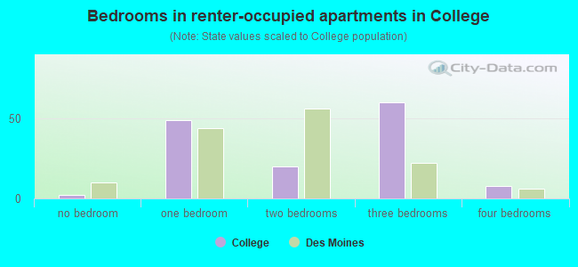 Bedrooms in renter-occupied apartments in College