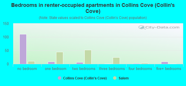 Bedrooms in renter-occupied apartments in Collins Cove (Collin's Cove)