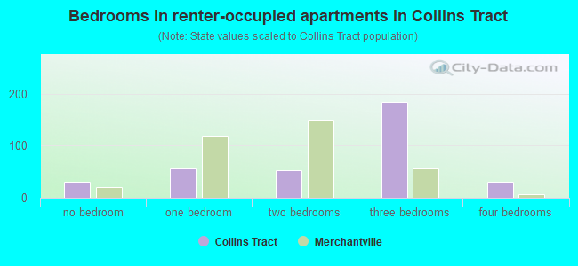 Bedrooms in renter-occupied apartments in Collins Tract