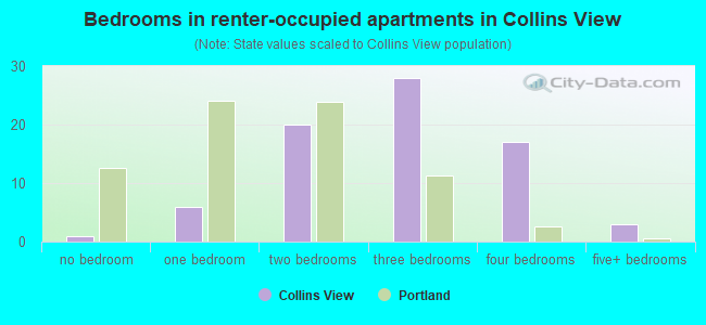Bedrooms in renter-occupied apartments in Collins View