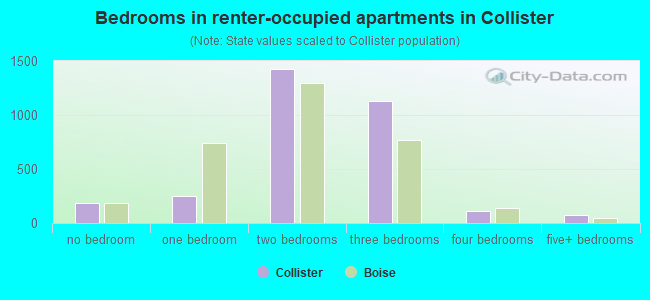 Bedrooms in renter-occupied apartments in Collister