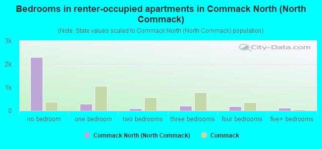 Bedrooms in renter-occupied apartments in Commack North (North Commack)