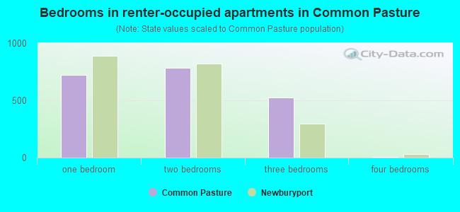 Bedrooms in renter-occupied apartments in Common Pasture