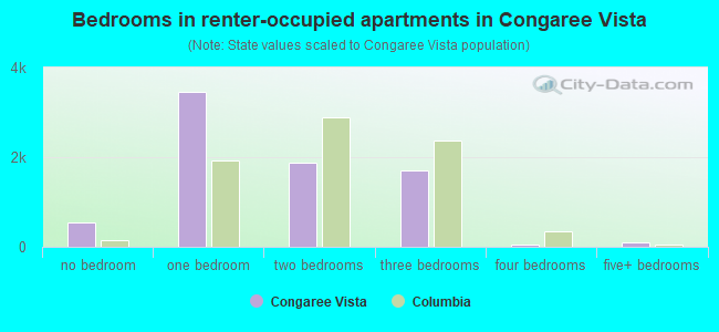 Bedrooms in renter-occupied apartments in Congaree Vista
