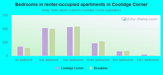 Bedrooms in renter-occupied apartments in Coolidge Corner