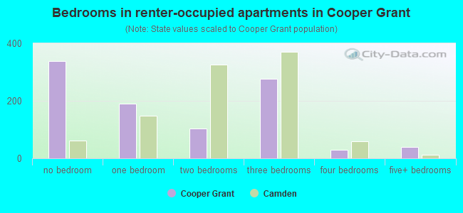 Bedrooms in renter-occupied apartments in Cooper Grant