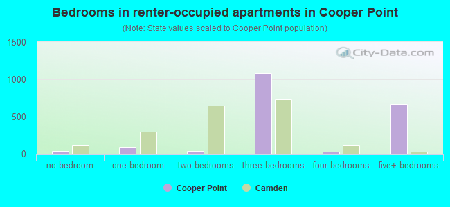 Bedrooms in renter-occupied apartments in Cooper Point