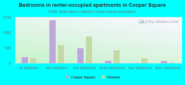 Bedrooms in renter-occupied apartments in Cooper Square