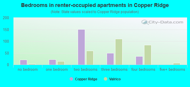 Bedrooms in renter-occupied apartments in Copper Ridge