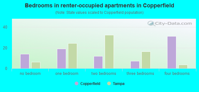 Bedrooms in renter-occupied apartments in Copperfield