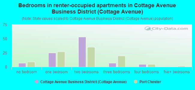 Bedrooms in renter-occupied apartments in Cottage Avenue Business District (Cottage Avenue)
