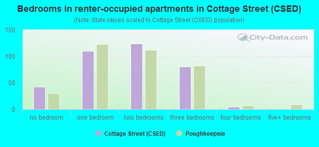Bedrooms in renter-occupied apartments in Cottage Street (CSED)