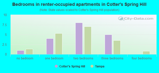 Bedrooms in renter-occupied apartments in Cotter's Spring Hill