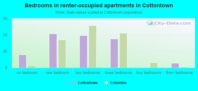 Bedrooms in renter-occupied apartments in Cottontown