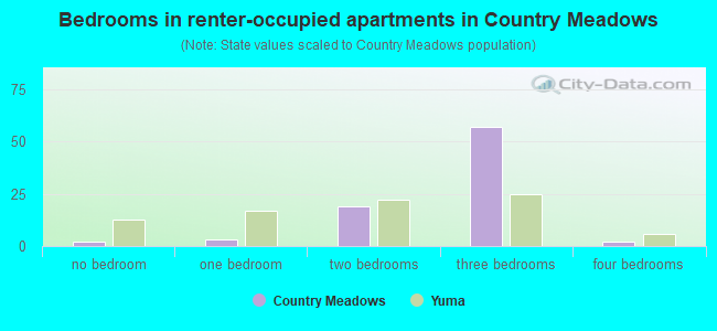 Bedrooms in renter-occupied apartments in Country Meadows