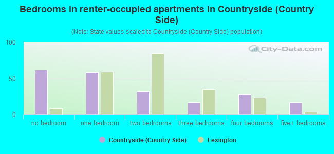 Bedrooms in renter-occupied apartments in Countryside (Country Side)