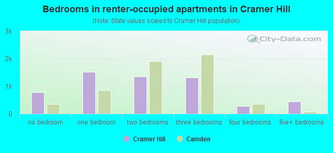 Bedrooms in renter-occupied apartments in Cramer Hill